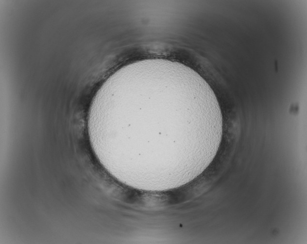 X0000111780707200908131348