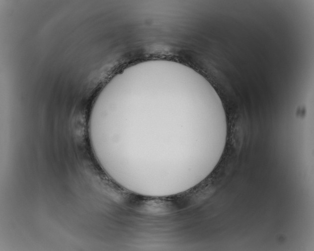 X0000111780708200908131348