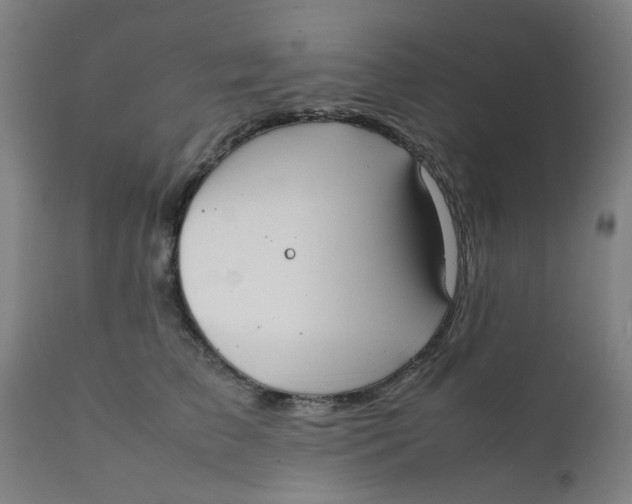 X0000111780709200908131348