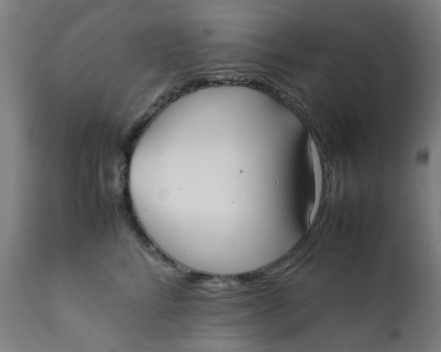 X0000111780712200908131348