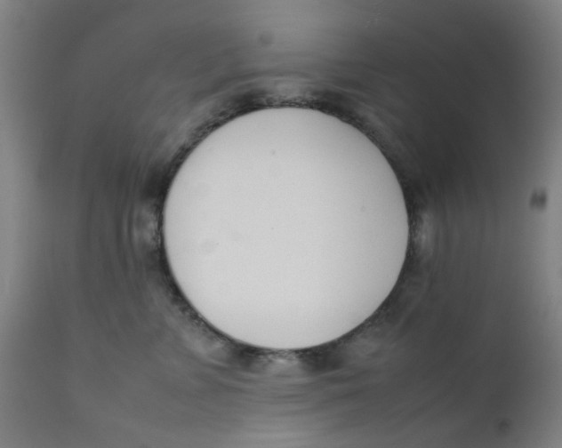 X0000111780715200908131348
