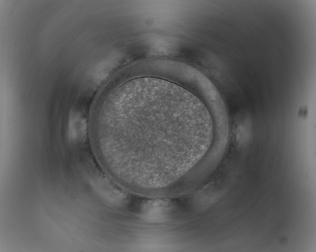 X0000111780716200908131348