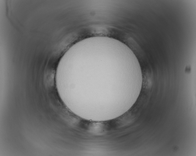 X0000111780717200908131348