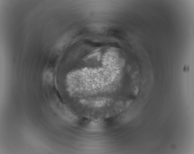 X0000111780720200908131348