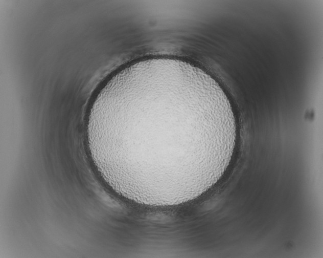 X0000111780721200908131347