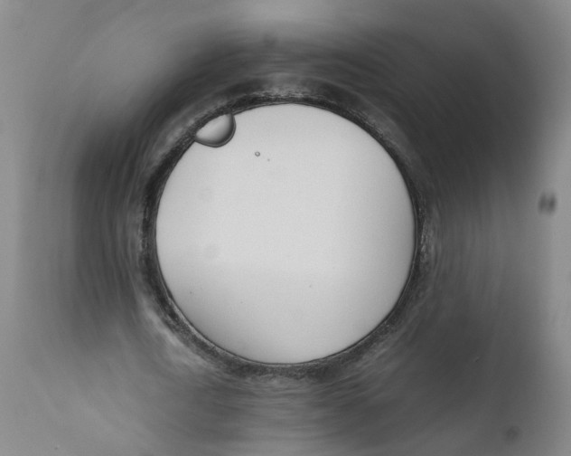 X0000111780722200908131347