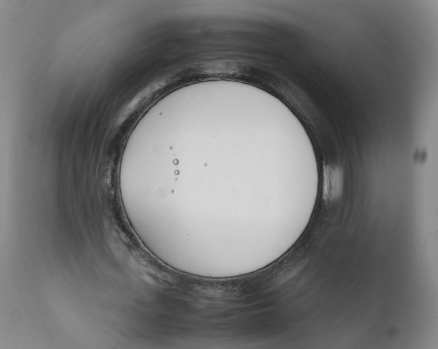 X0000111780723200908131347