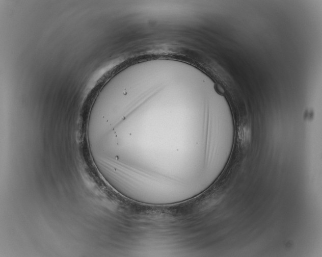 X0000111780724200908131347