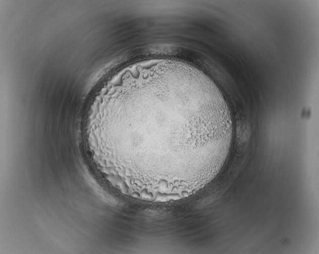X0000111780725200908131347