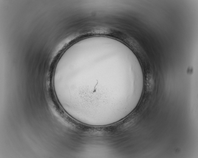 X0000111780726200908131347