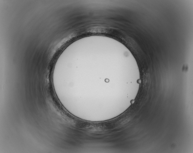 X0000111780727200908131348