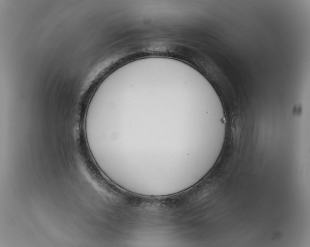 X0000111780728200908131348