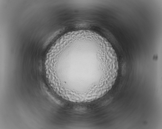 X0000111780729200908131348