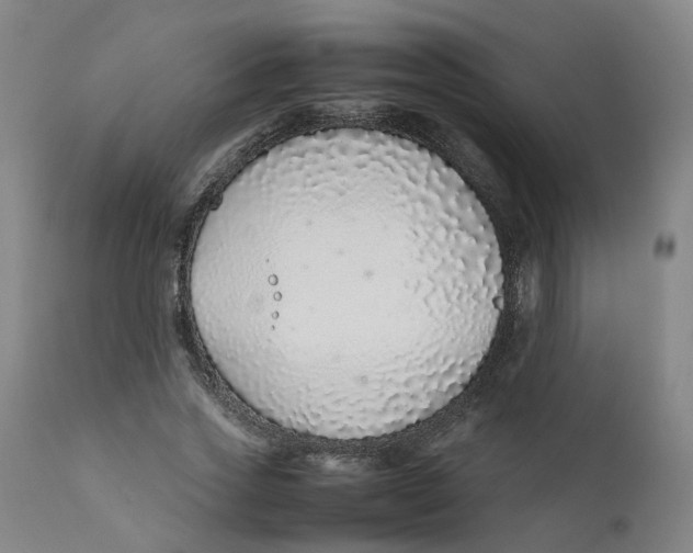 X0000111780733200908131348