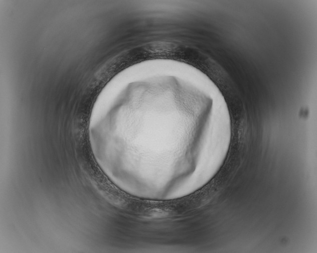 X0000111780737200908131348