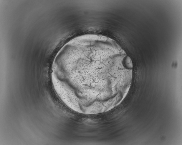 X0000111780739200908131348