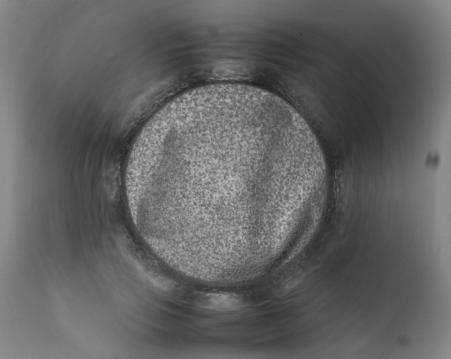 X0000111780741200908131348