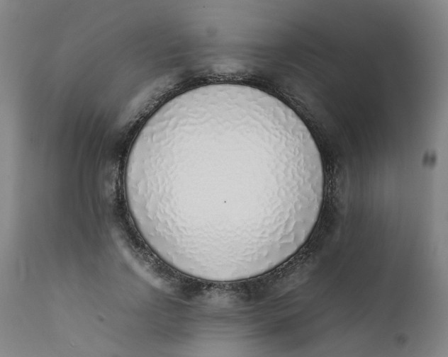 X0000111780742200908131348
