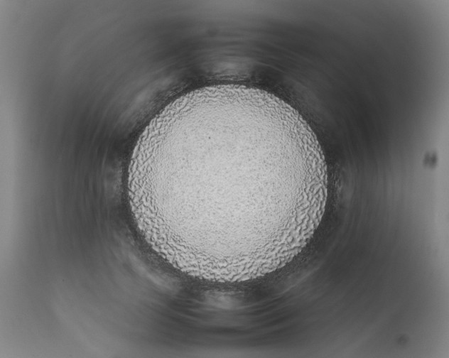 X0000111780745200908131348