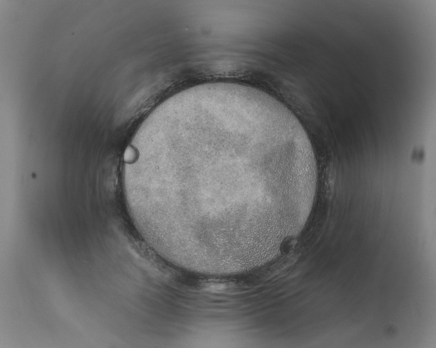 X0000111780746200908131348