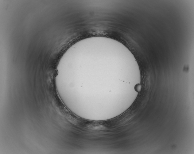 X0000111780747200908131348