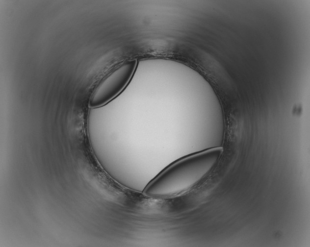 X0000111780748200908131348