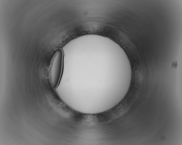 X0000111780750200908131348