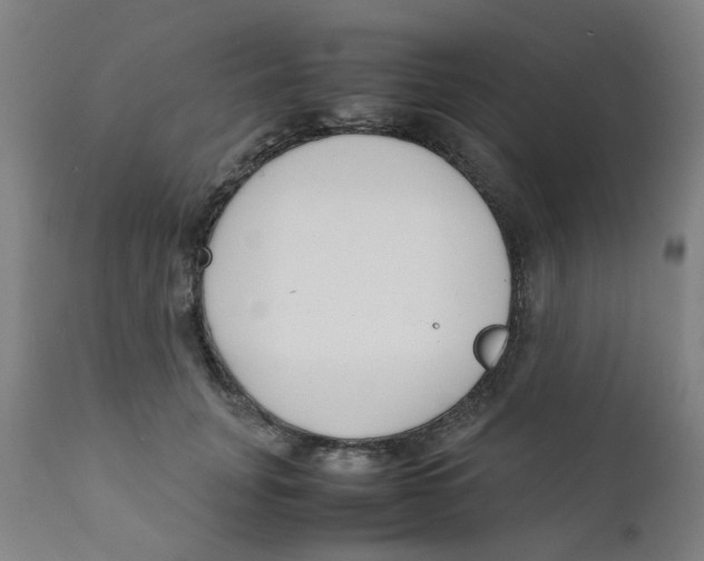 X0000111780751200908131348