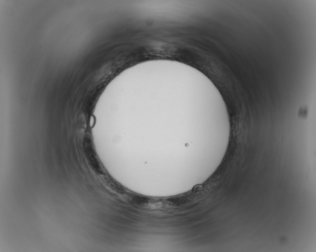 X0000111780752200908131348