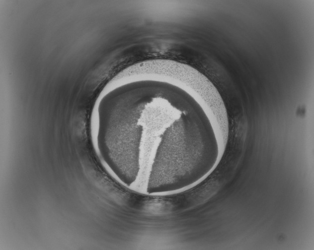 X0000111780754200908131348