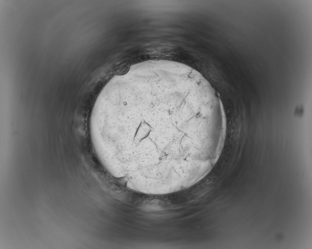 X0000111780755200908131348