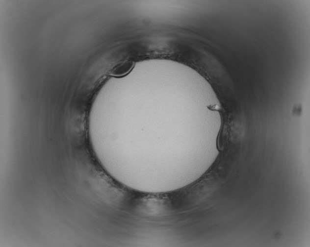 X0000111780756200908131348