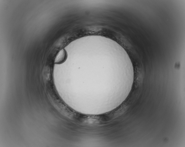 X0000111780758200908131348