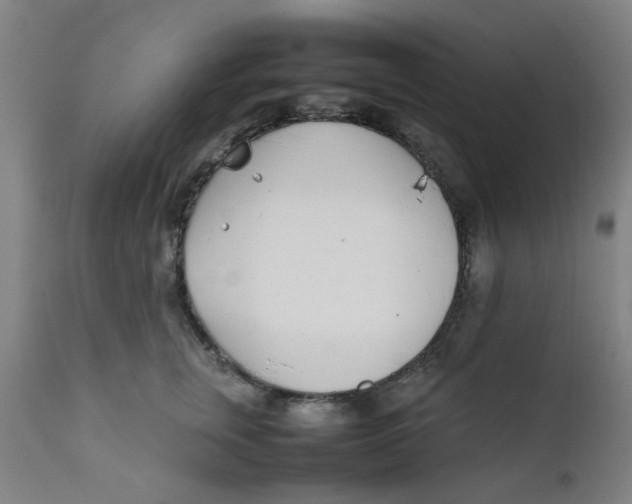 X0000111780759200908131348