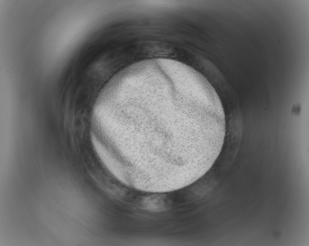 X0000111780761200908131348
