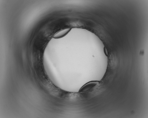 X0000111780762200908131348