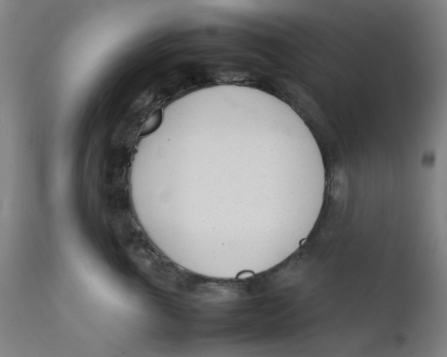 X0000111780763200908131348