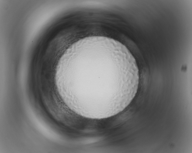 X0000111780765200908131348