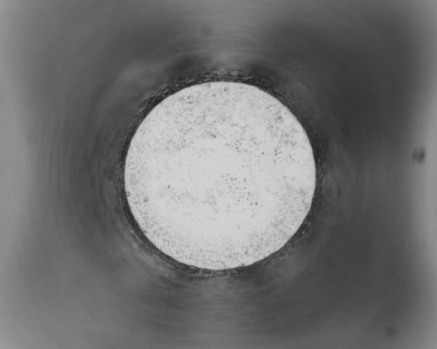 X0000111780769200908131347