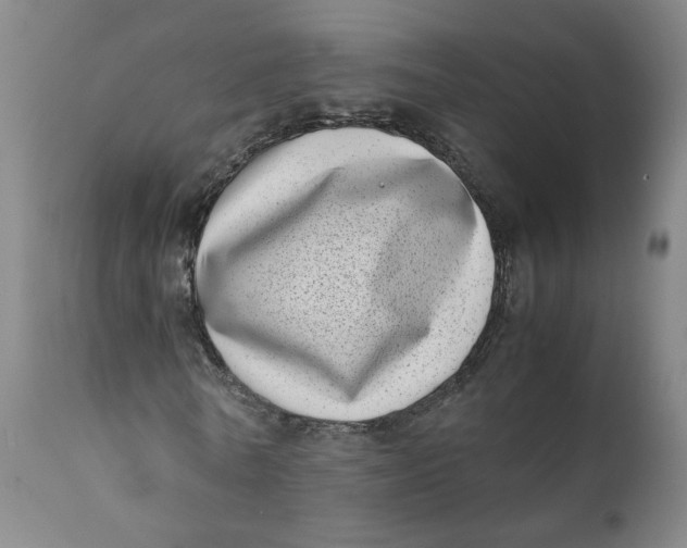 X0000111780770200908131347