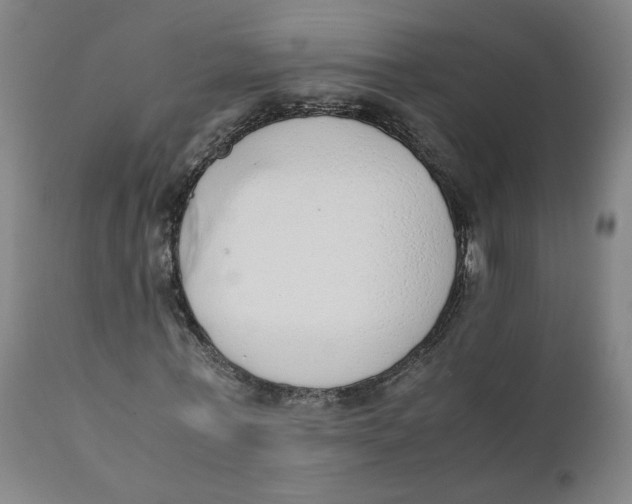 X0000111780771200908131347