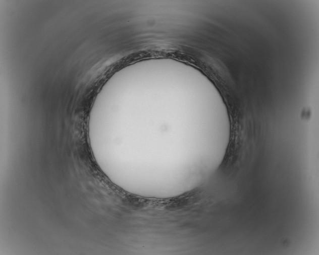 X0000111780773200908131347