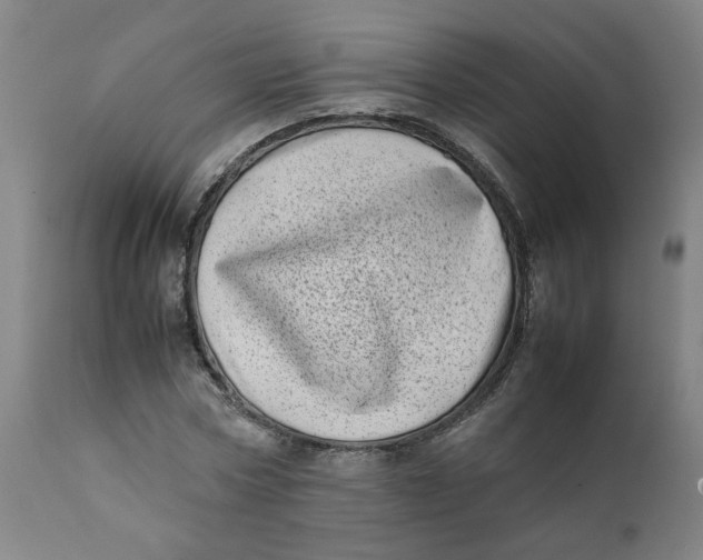 X0000111780778200908131347