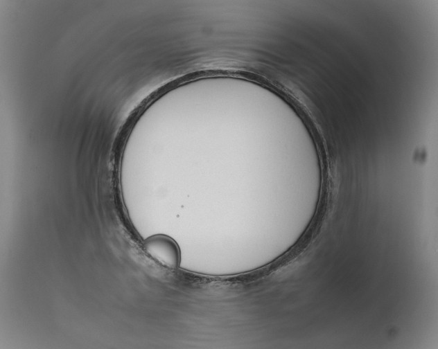 X0000111780779200908131347