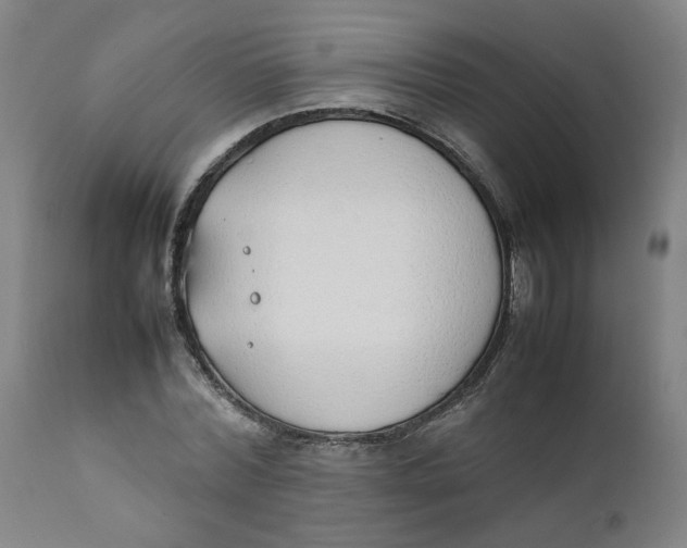 X0000111780780200908131347