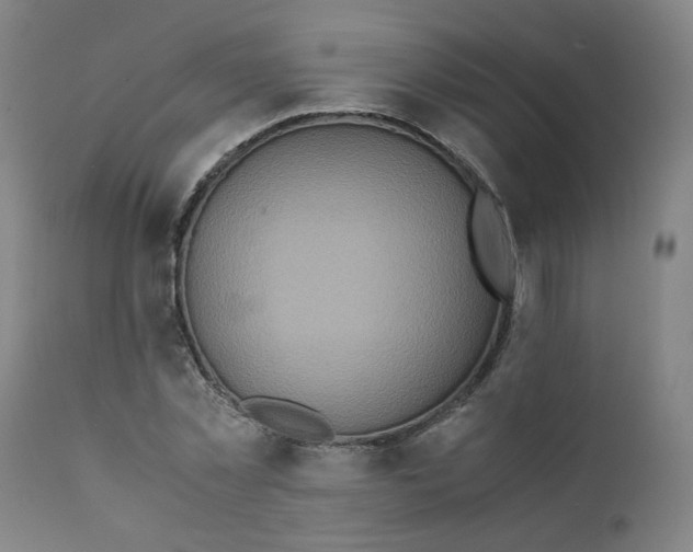 X0000111780781200908131347