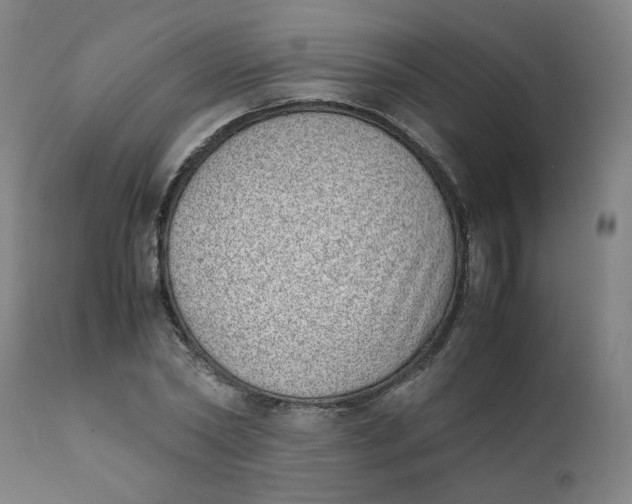 X0000111780782200908131347