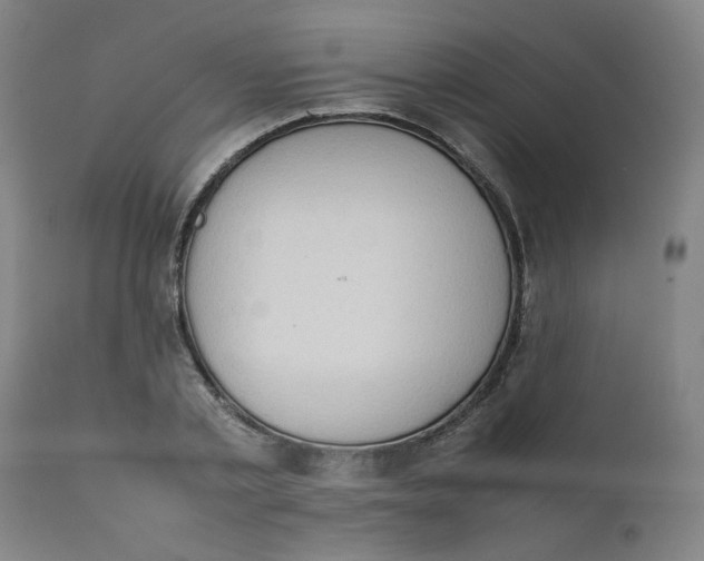 X0000111780789200908131347