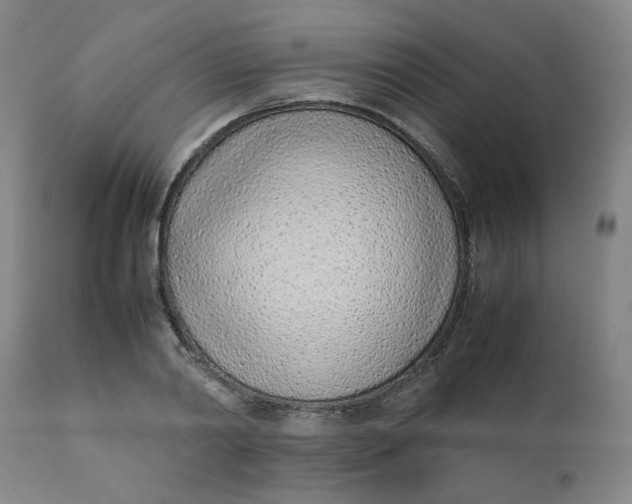 X0000111780790200908131347
