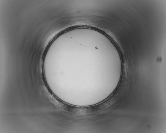 X0000111780791200908131347